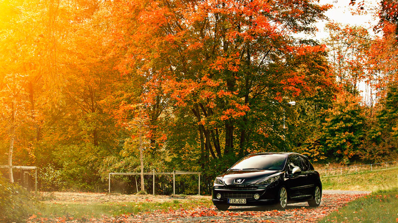 Συνεργείο Πειραιάς - Γαλλικά, Ηλεκτρολογείο, Φανοποιείο, Βαφείο, Ανταλλακτικά, Ευθυγραμμίσεις, Ζυγοσταθμίσεις, ΚΤΕΟ, Υγραέριο, Βελτιώσεις, Κάρτα Καυσαερίων